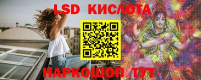 стафф Ставрополь