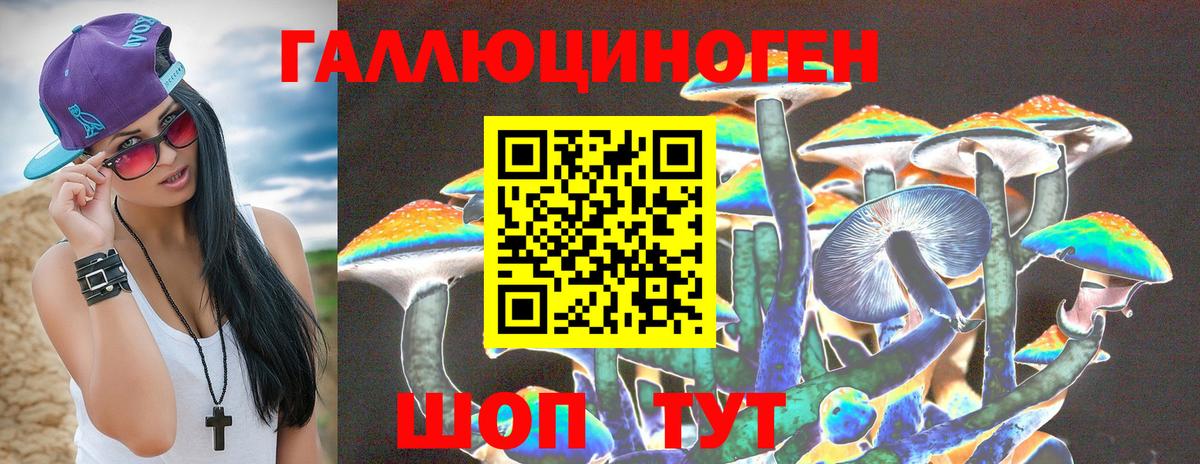 Галлюциногенные грибы Psilocybe Мегион