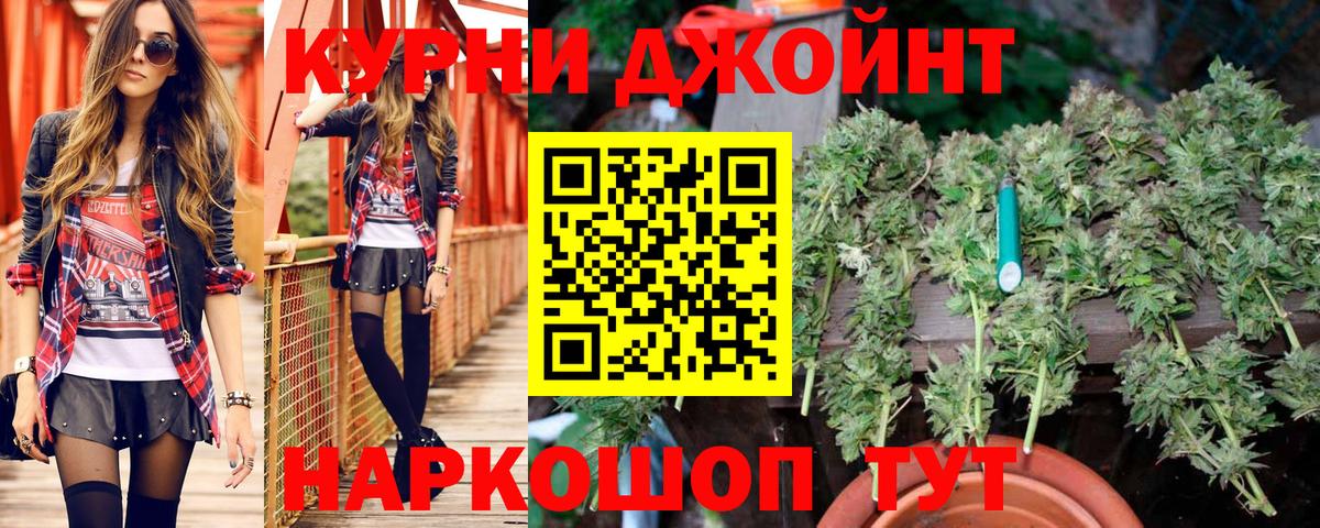 Бошки марихуана Amnesia  Вход с VPN  Мегион  Шишки марихуана марихуана  Канабис план  МАРИХУАНА тримм 